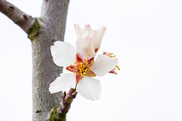 Natur Mischmasch