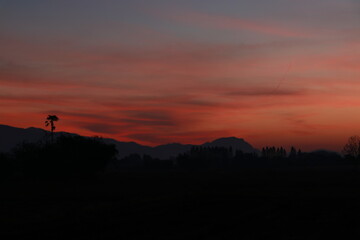 Beautiful light and silhouette in the morning