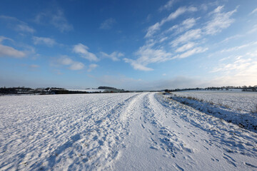 Fototapeta na wymiar Winter landscape with snowy fields and blue sky