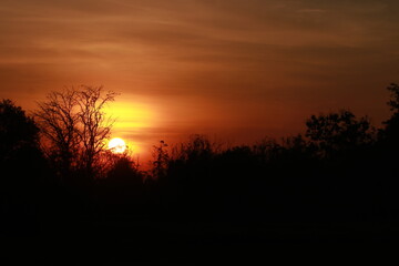Beautiful light and silhouette in the morning