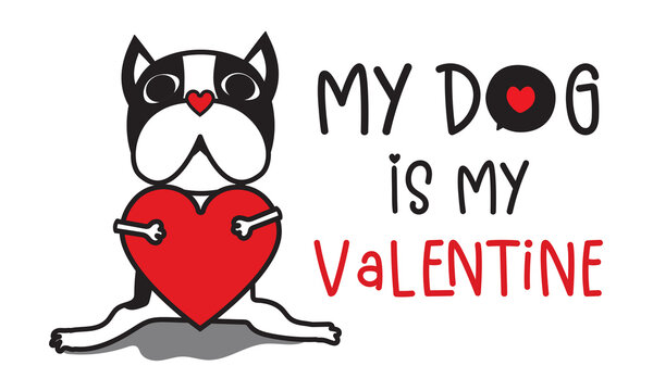 My Dog is my Valentine isolated on white background. Dog Boston terrier Lover Handwriting design. For t shirt, greeting card or poster design Background Vector Illustration.
