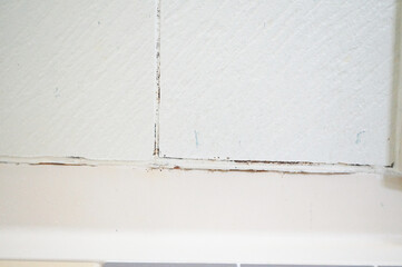 お風呂のカビ掃除