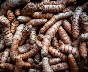 close up of  whole turmuric  bulbs  cooking ingredient herbal medicine background ,