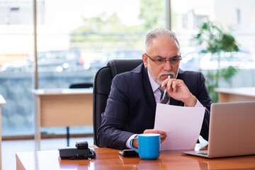 Old businessman employee working in the office