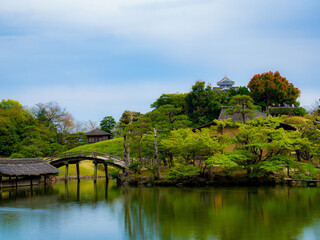 Fototapeta premium 【岡山】岡山城