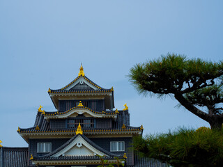 Fototapeta premium 【岡山】岡山城