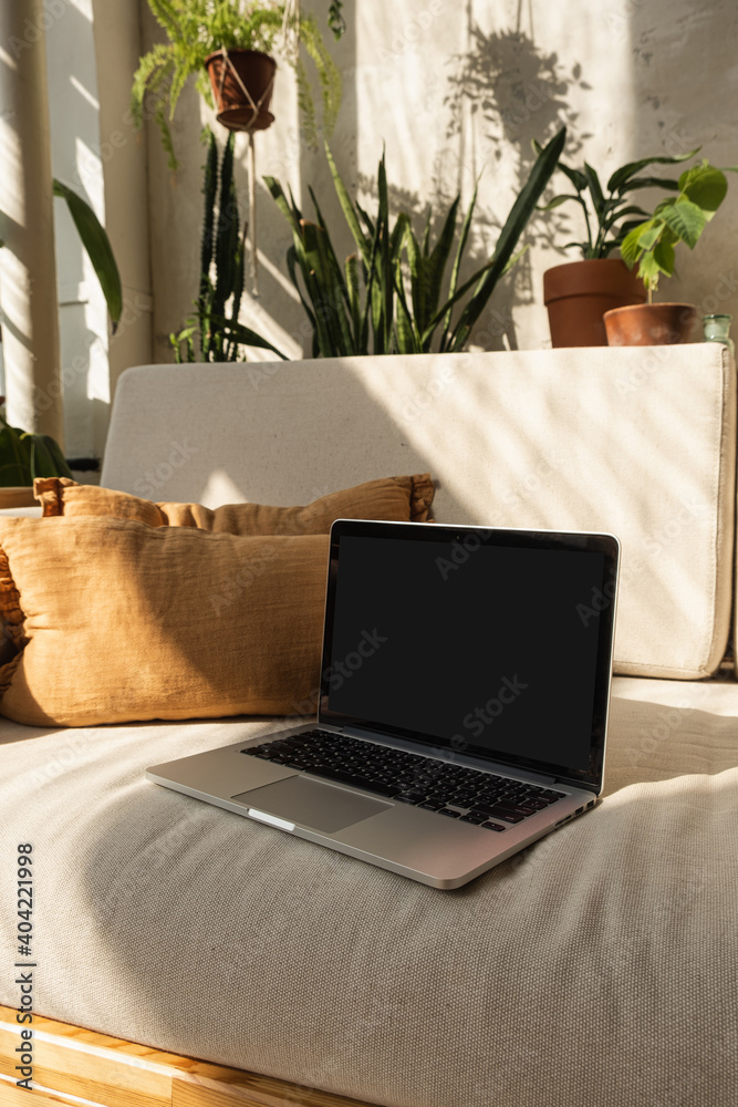 Wall mural Laptop with blank screen on comfortable sofa in warm sunlight shadows. Minimal boho styled interior design template with mockup copy space.