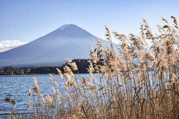 山梨県の河口湖と富士山