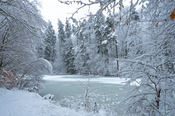 zima w lesie nad jeziorem