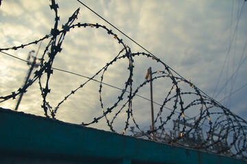 Barbed wire on the fence in the early morning. Background