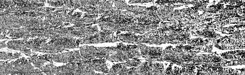 Fototapeta premium Abstract background. Monochrome texture. Image includes a effect the black and white tones.