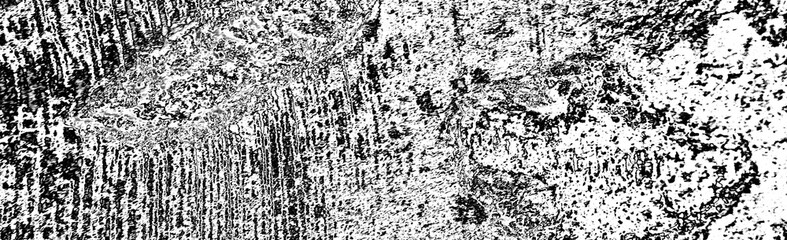 Abstract background. Monochrome texture. Image includes a effect the black and white tones.