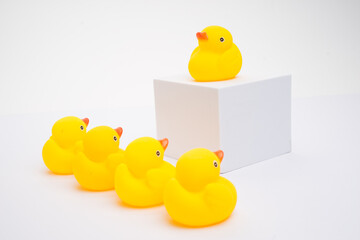 Concept of leadership and teamwork. A group of yellow ducks listening to their leader, isolated on white background.