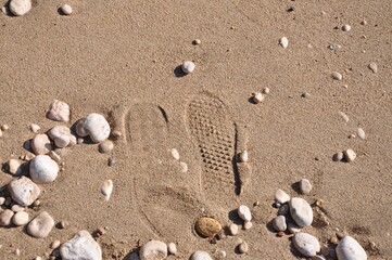 Fototapeta na wymiar Steps on the sand near the sea.