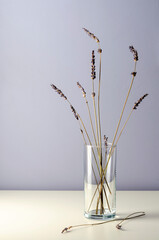 Dried purple lavender on table. Empty place for text,