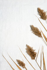 Background with dried reed flowers frame on linen