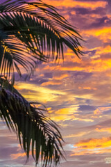 Obraz na płótnie Canvas Coucher de soleil sous les tropiques 