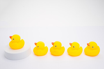 Concept of leadership and teamwork. A group of yellow ducks listening to their leader, isolated on white background.