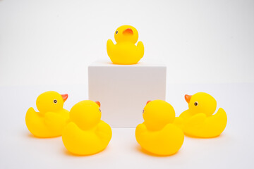 Concept of leadership and teamwork. A group of yellow ducks listening to their leader, isolated on white background.