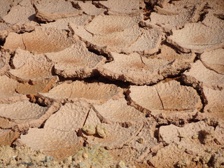 Mudlands that previously contained water have cracked due to hot weather and drought. All water content has been evaporated by the heat