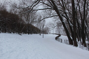 Winter landscape. Snow-covered park in the early morning