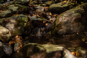 Forest waterfall on mossy stones. Mossy forest waterfall stream. Waterfall in mossy forest. Mossy waterfall view
