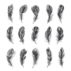 Feathers set, Hand drawn style sketch illustrations.	