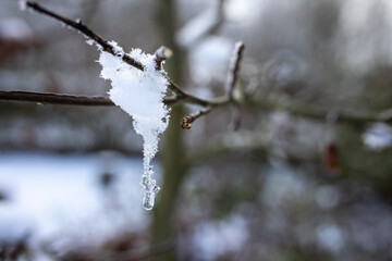 Ein Wassertropfen hängt mit Schnee und Eis am Zweig