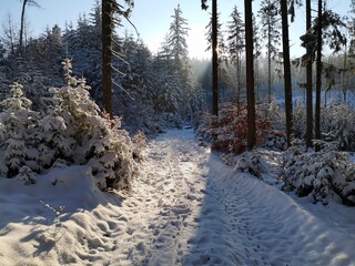 Winter Wonderland im Spessart - Verschneiter Wanderweg