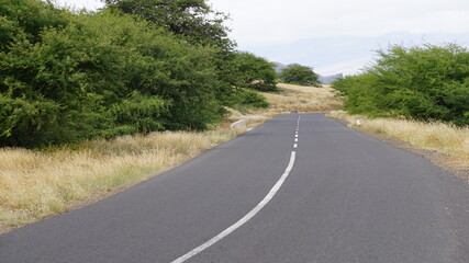 Fototapeta premium the road between Norte Baia and Salamansa or Baia das Gatas, on the island Sao Vicente, Cabo Verde, in the month of November