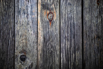 Wood grain texture - pine boards
