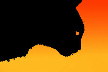 Profilo astratto di muso di gatto nero con sfondo incandescente © mauro tombolini