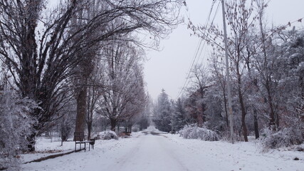 Snow covered frozen road in an abandoned and forgotten botanical park of Soviet Union ages