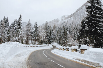 Scenic view of winter landscape with snow covered trees in Alps, Slovenia. Beauty of nature concept...