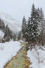 Scenic view of winter landscape with snow covered trees and mountain river in Alps, Slovenia. Beauty of nature concept background.