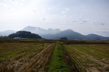 Fototapeta na wymiar 日本の秋の田園風景