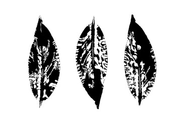 Vector leaf print.  Set with stamp leaves. Hand drawn floral elements for your design