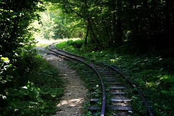 Obraz premium nature