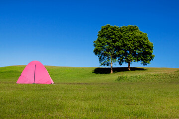 Camping and tent in nature in the summer time.