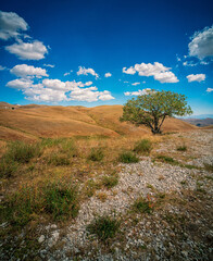 Fototapeta premium a beautiful view of Campo Imperatore
