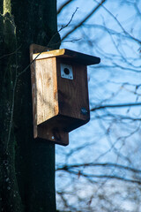 Birdbox on a tree