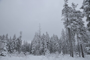 Stołowe Mountains, Poland