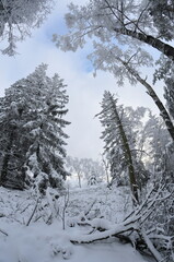 Stołowe Mountains, Poland