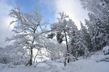 Stołowe Mountains, Poland