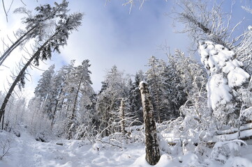 Stołowe Mountains, Poland