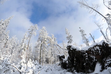 Stołowe Mountains, Poland