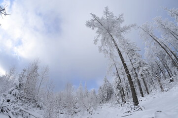 Stołowe Mountains, Poland