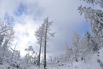 Stołowe Mountains, Poland