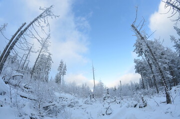 Stołowe Mountains, Poland