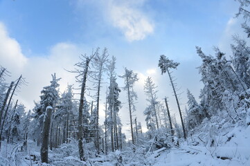 Stołowe Mountains, Poland